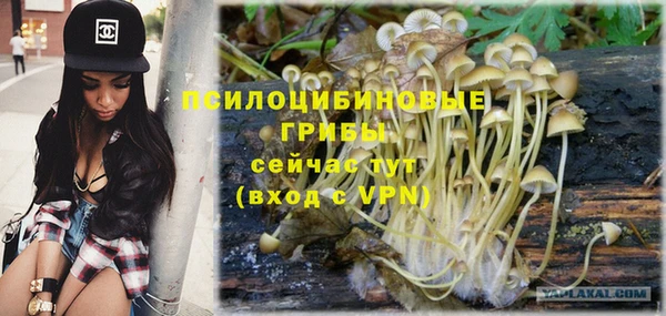 каннабис Алексин