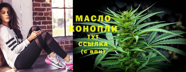 гашик Арсеньев