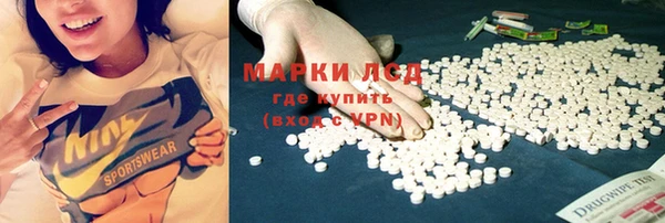 гашик Арсеньев